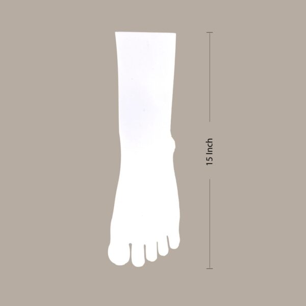 Acrylic Leg
