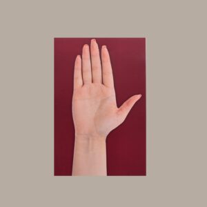 Papper Hand (A4 Size)(10 Pieces)