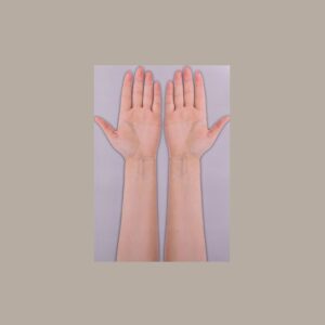 Papper Hand (A3 Size)(10 Pieces)